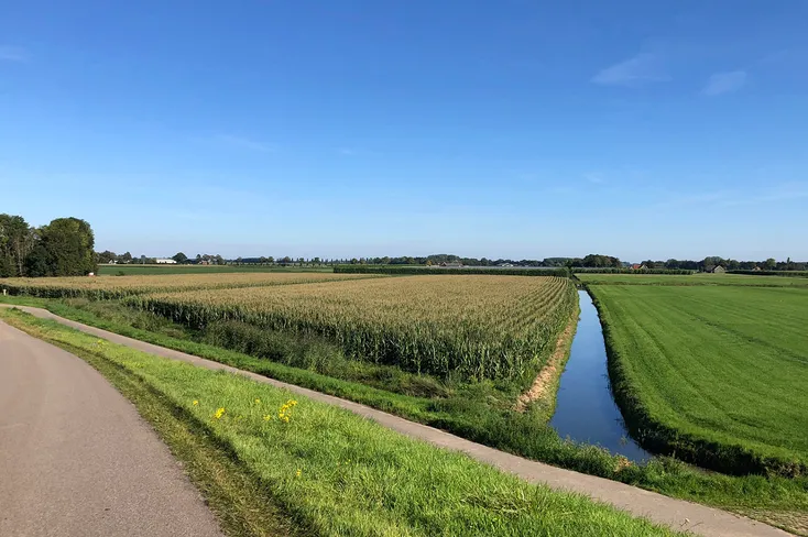 Vanaf 1 juni Subsidieregeling extensivering melkveehouderij